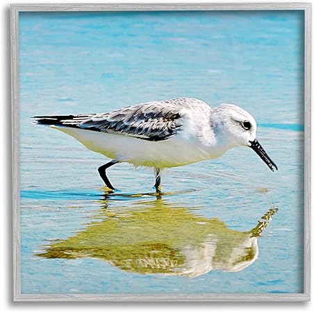 Stupell Industries Grazing Sandpiper in Water Gray Framed Giclee Art Design by Graffi*Tee Studios