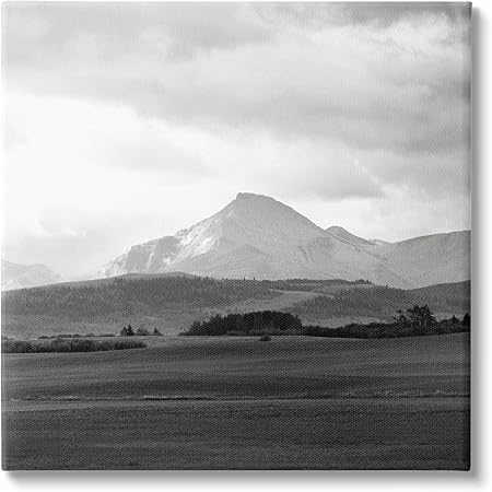 Stupell Industries Foggy Mountain Grassland Canvas Wall Art, Design by Carol Robinson