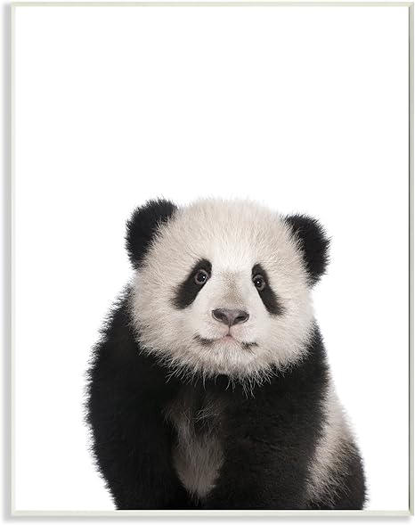 Stupell Home Décor Baby Panda Studio Photo Wall Plaque Art, 10 x 0.5 x 15, Proudly Made in USA