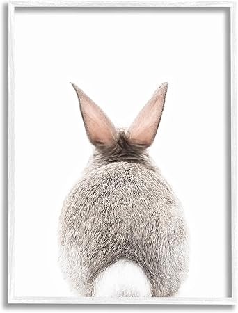 Stupell Industries Rabbit Tail on White White Framed Giclee Art Design by Sisi and Seb